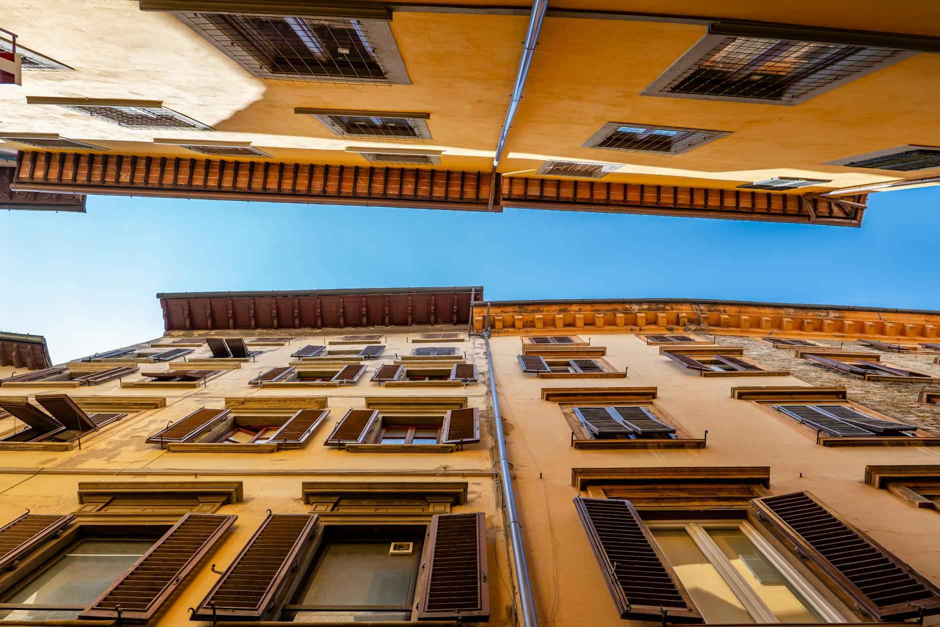 Conclusioni e Previsioni