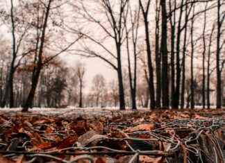 Statistiche Cagliari Calcio – Atalanta: Dati Da Non Perdere Statistiche Cagliari Calcio - Atalanta: Dati Da Non Perdere