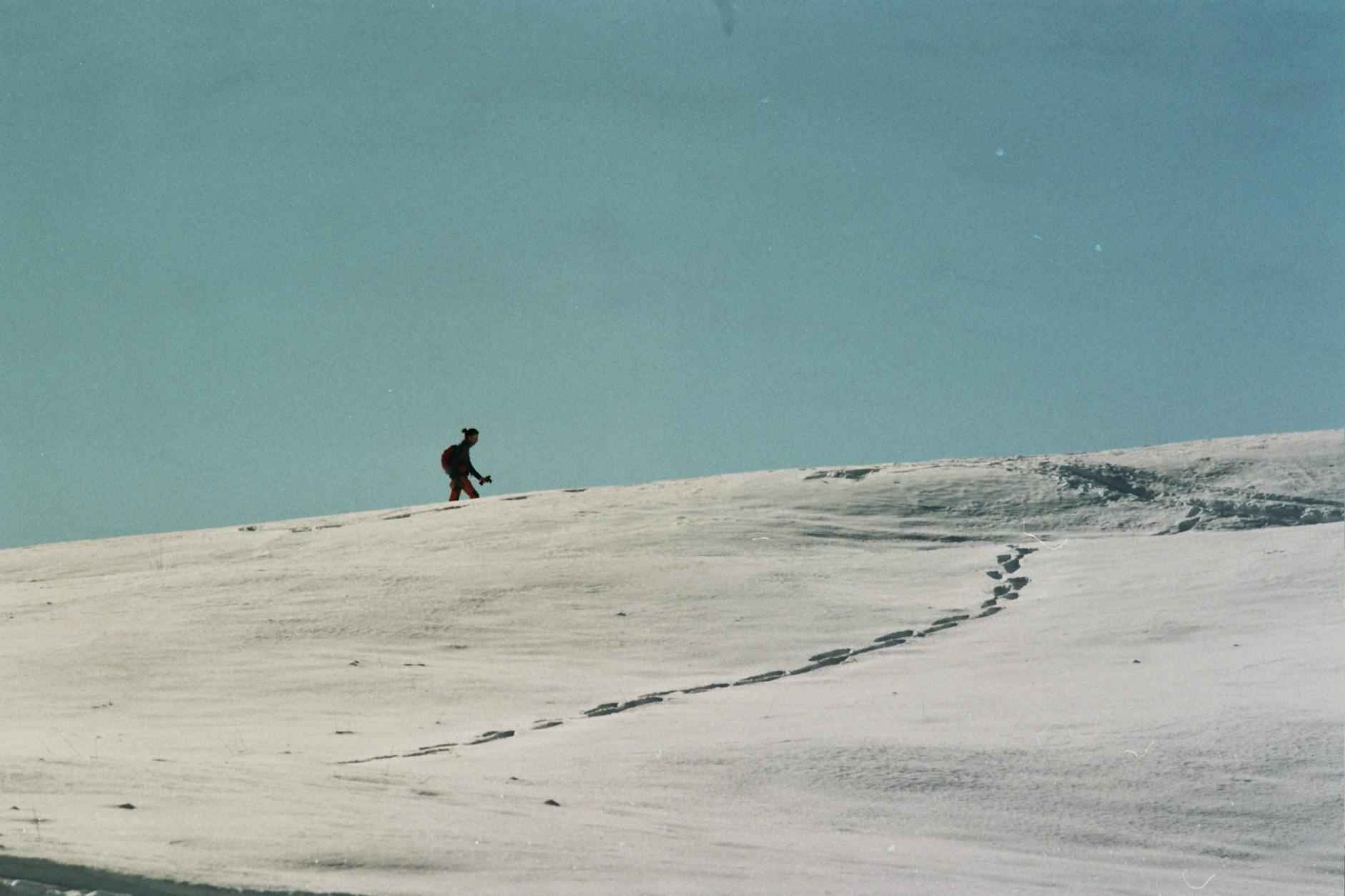 Statistiche Giocatore Della Partita Clippers - Dallas Mavericks 1 Introduzione alle Statistiche