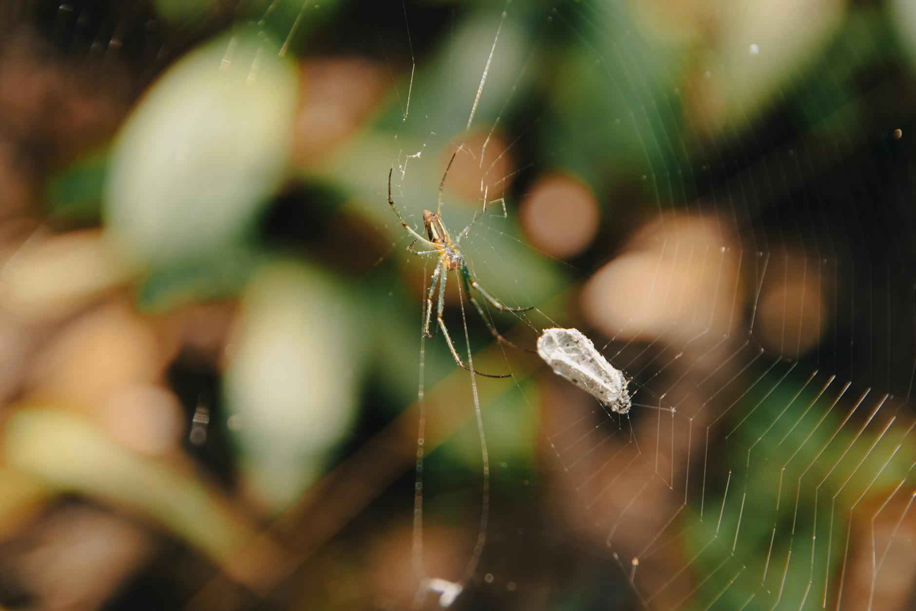Statistiche Inter - Atlético Madrid: Numeri Da Big Match 1 Storia degli Incontri Diretti