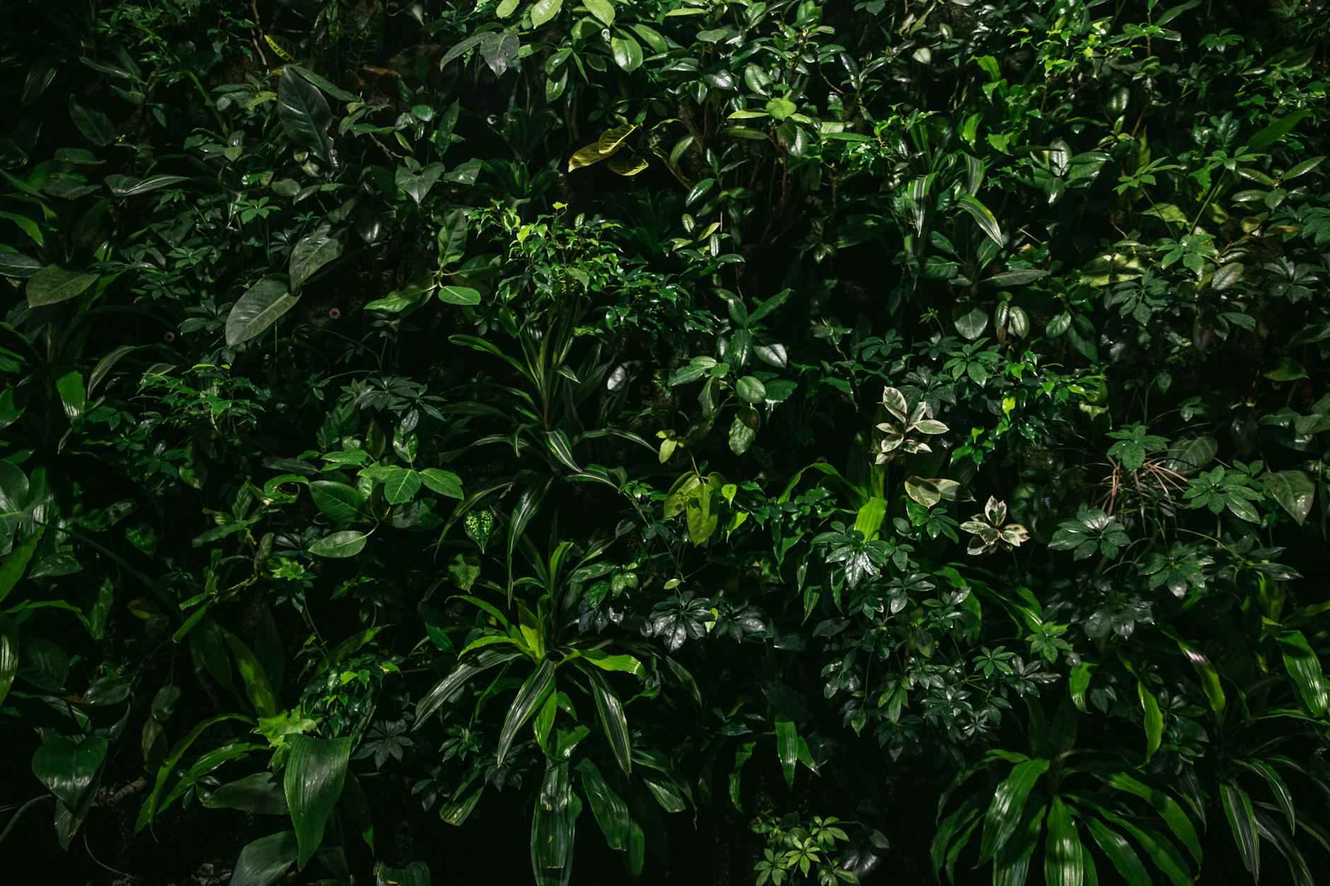 Statistiche Manchester City - Inter: Scontro Tra Giganti 2 Statistiche Recenti