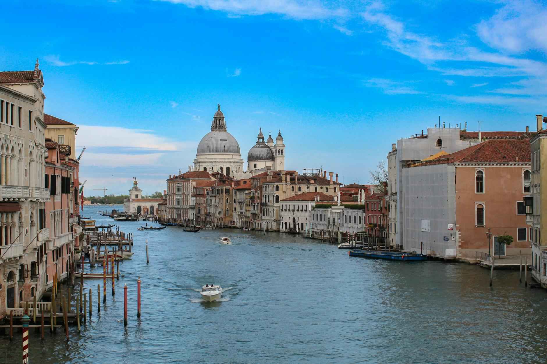 Conclusioni