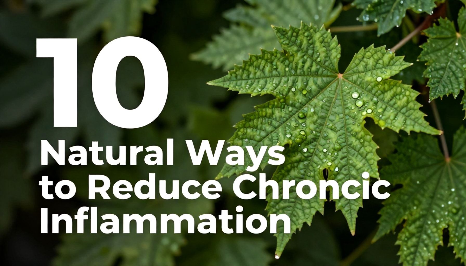 Proteina C Reattiva Alta: Come Ridurre l'Infiammazione e Proteggere la Salute 3 10 Modi Naturali per Abbassare l’Infiammazione Cronica*